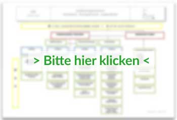 organigramm thumb
